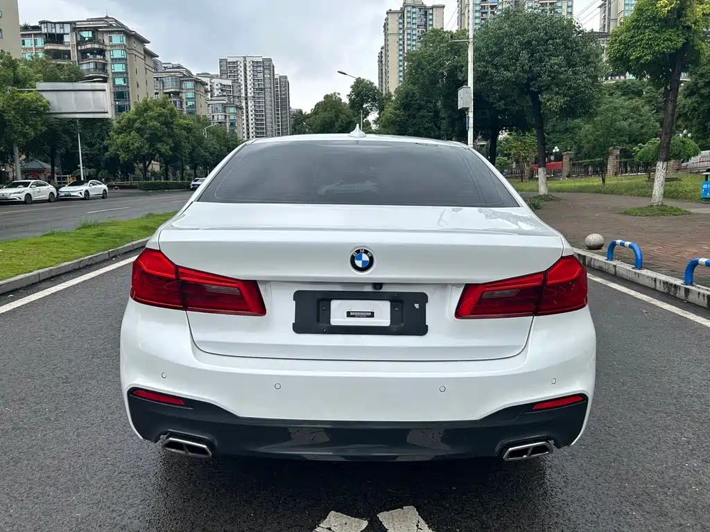 BMW 5 Series 5 2019 530Li xDrive M Sport