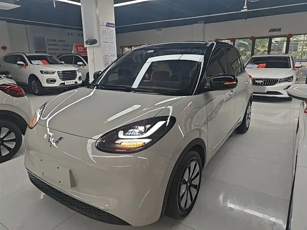 Wuling Bingo 2024