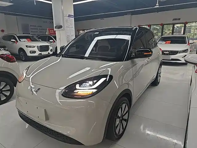 2024 Wuling Motors Binguo