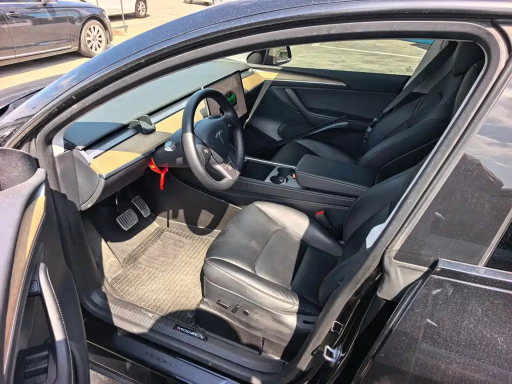 Tesla Model Y — миниатюра 8