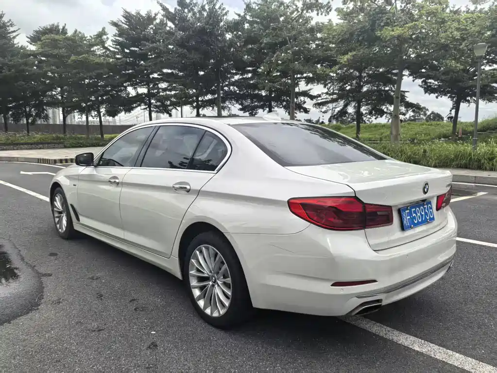 BMW 5 Series 5 2018 530Li Lead Luxury