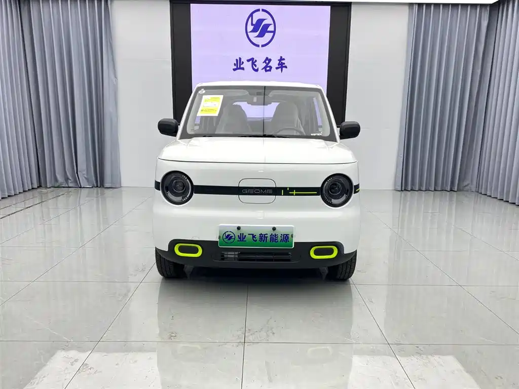 GEELY GALAXY PANDA