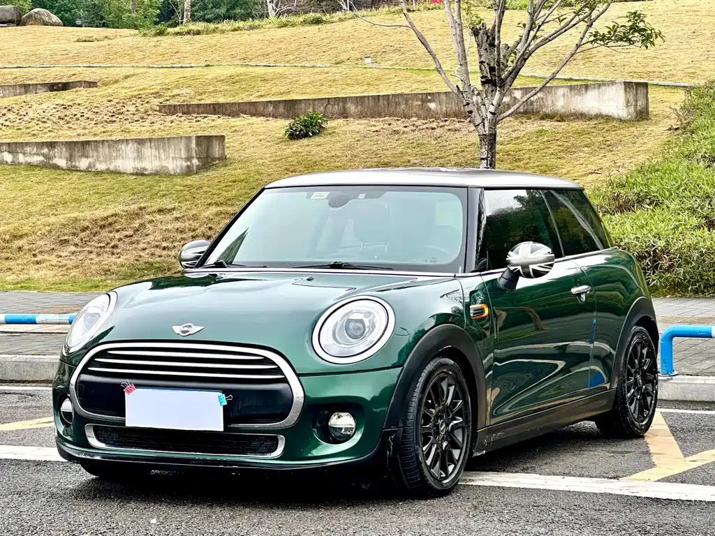 Mini Mini 2016