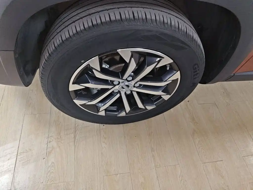 Haval Big Dog — миниатюра 23