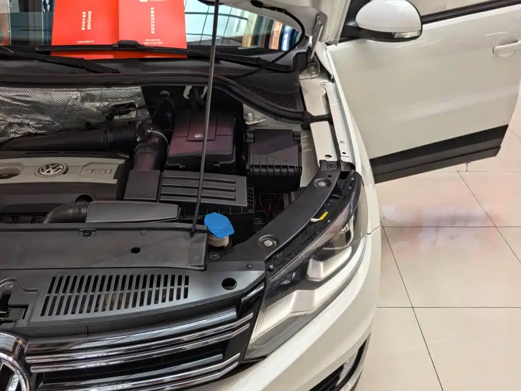Volkswagen Tiguan 300TSI Auto 2WD Silk Road Elegant Edition, фото 18