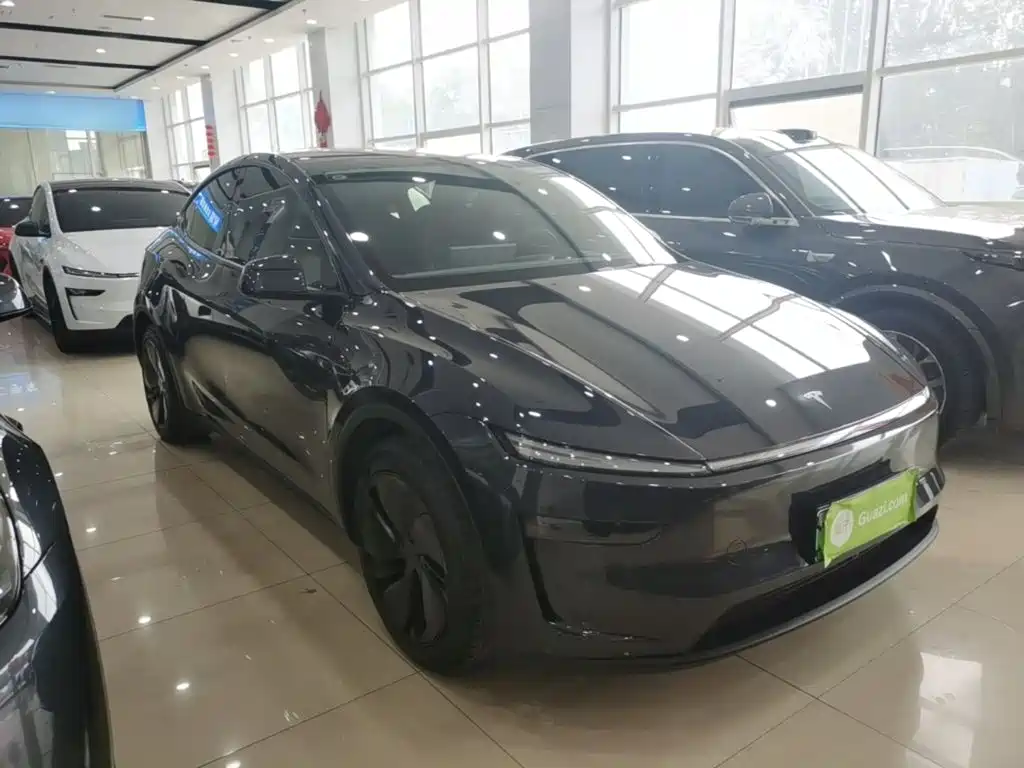 Tesla Model Y — миниатюра 4