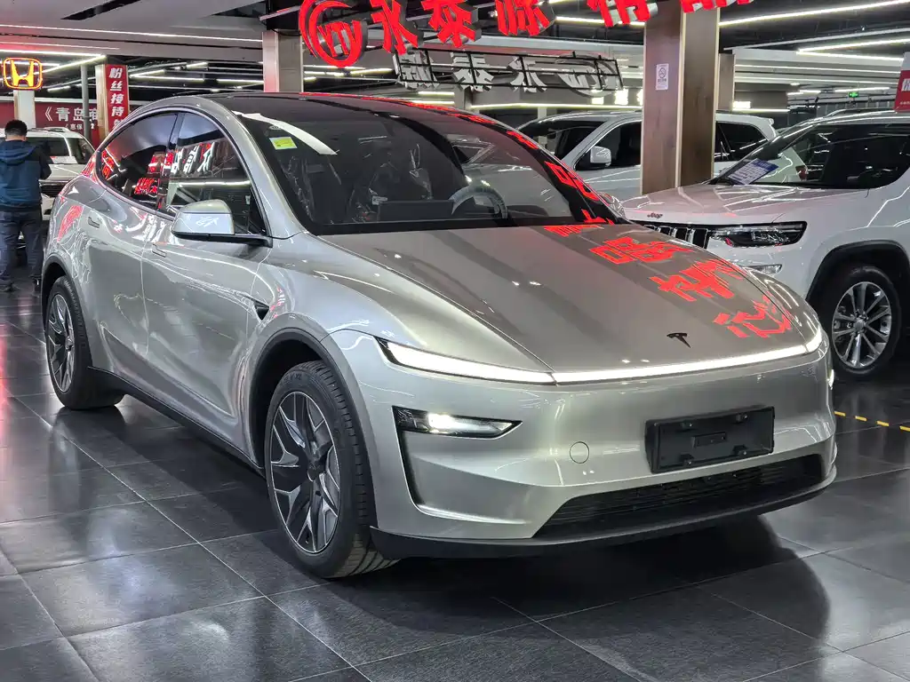 Tesla Model Y L — миниатюра 2
