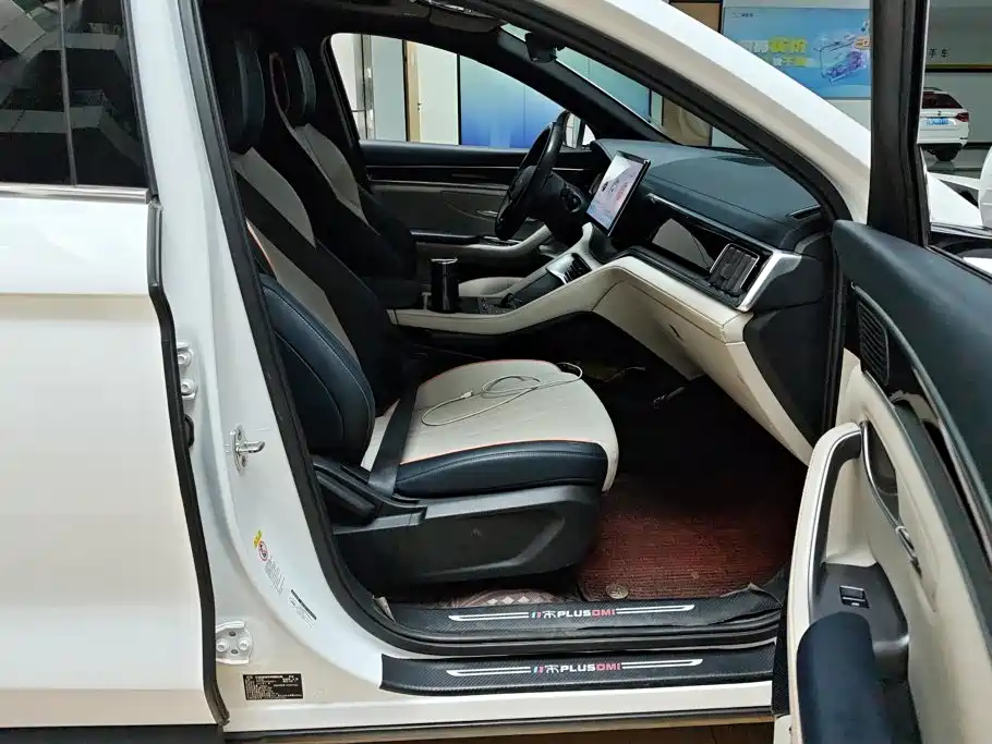 BYD PLUS New Energy — миниатюра 8