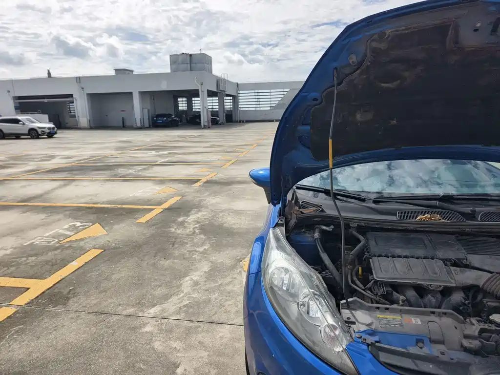 Ford Fiesta — миниатюра 13
