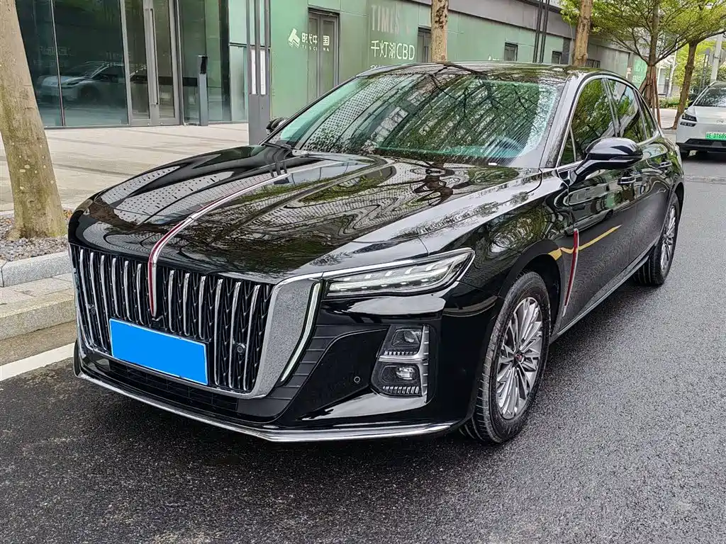 Hongqi Hongqi H5 2024