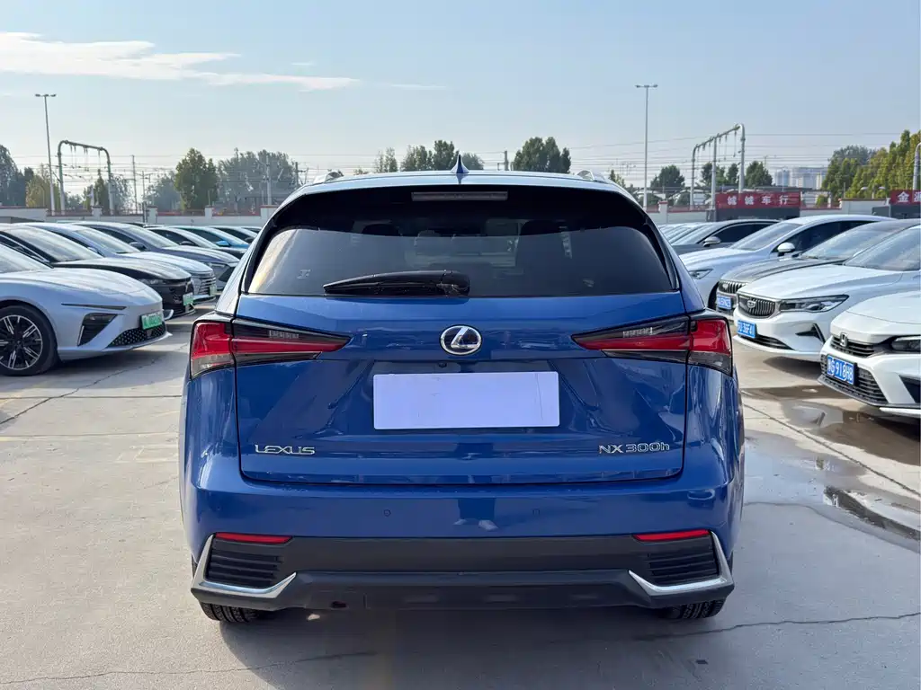Lexus NX — миниатюра 8