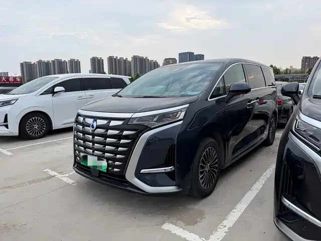 2023 Denza D9