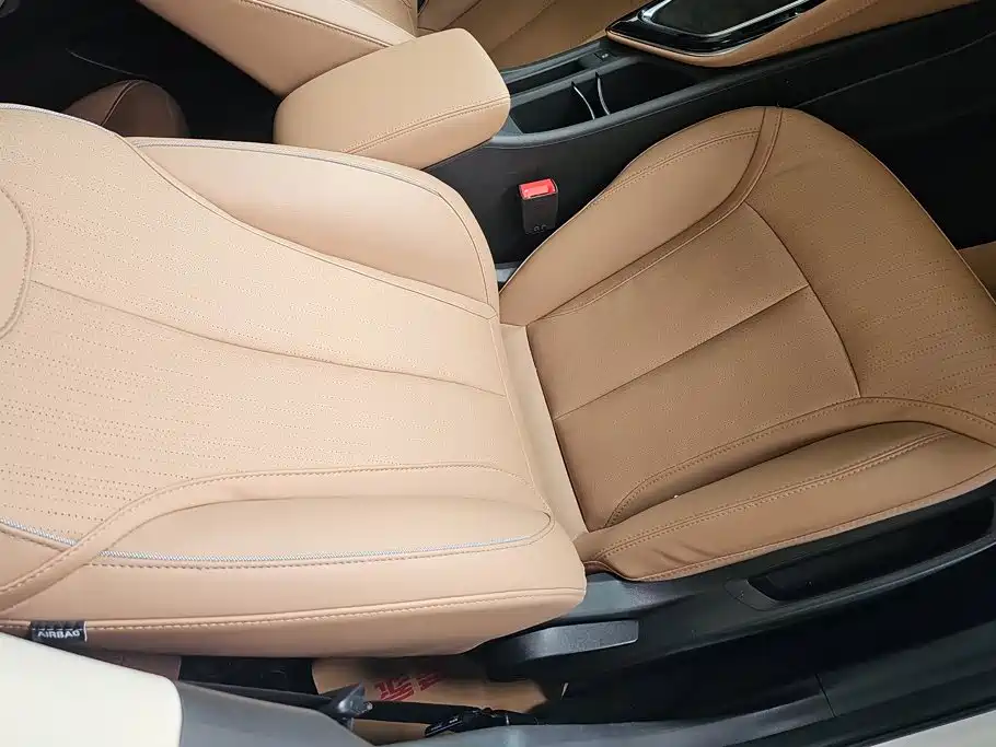 Buick GL6 — миниатюра 8