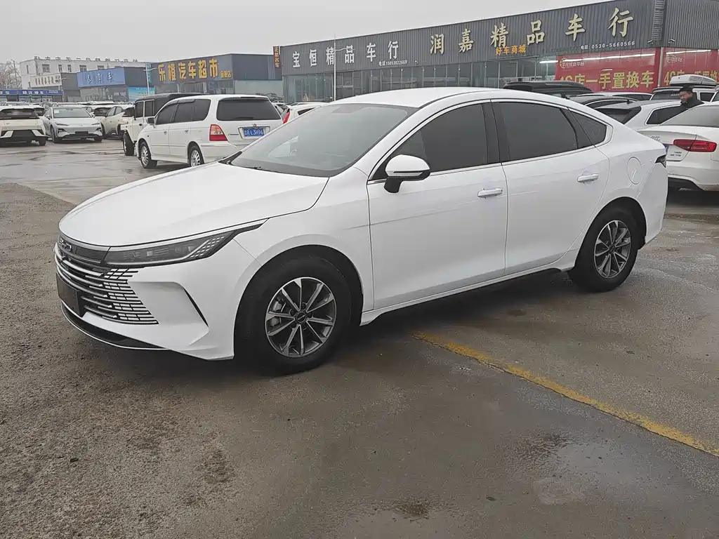 BYD DESTROYER 05