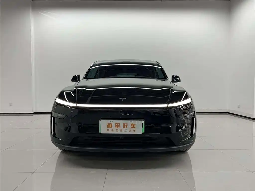 Tesla Model Y — миниатюра 2