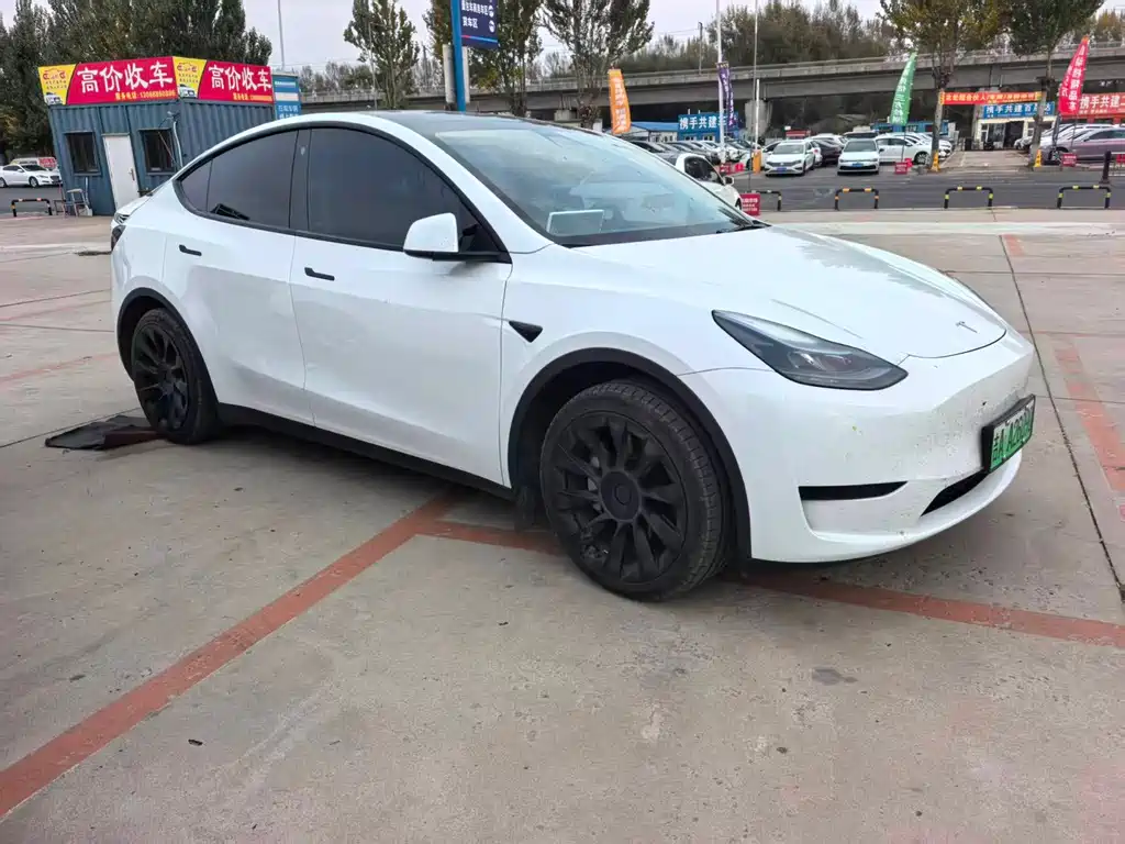 Tesla Model Y — миниатюра 3