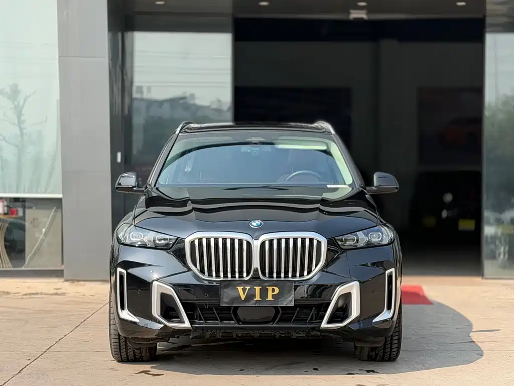 BMW X5 — миниатюра 2