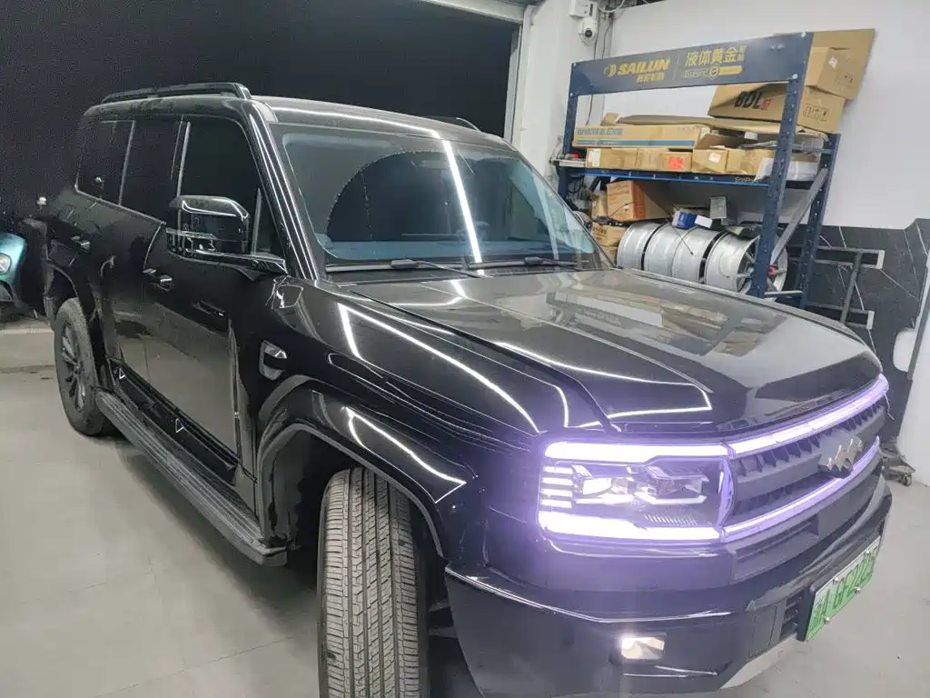 FANG CHENG BAO LEOPARD 5