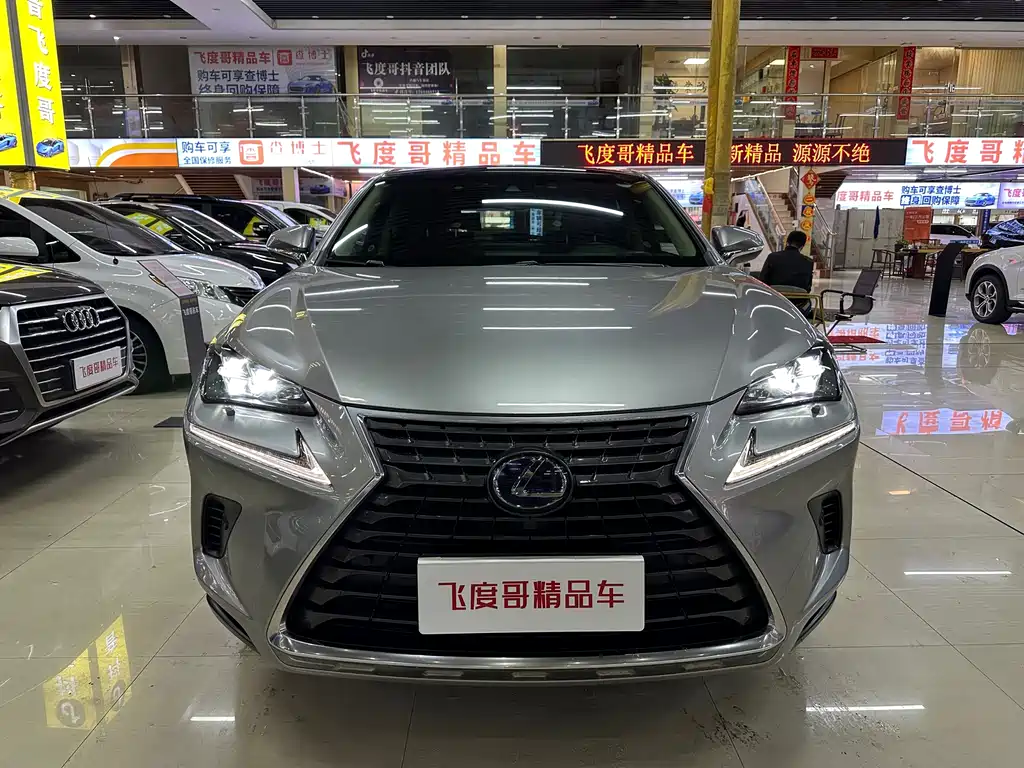 LEXUS NX
