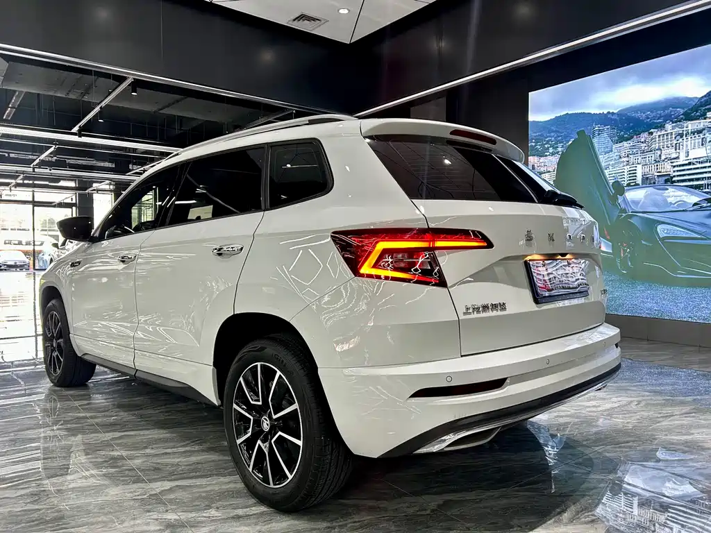 Skoda Karoq TSI280 Premium Edition, фото 7