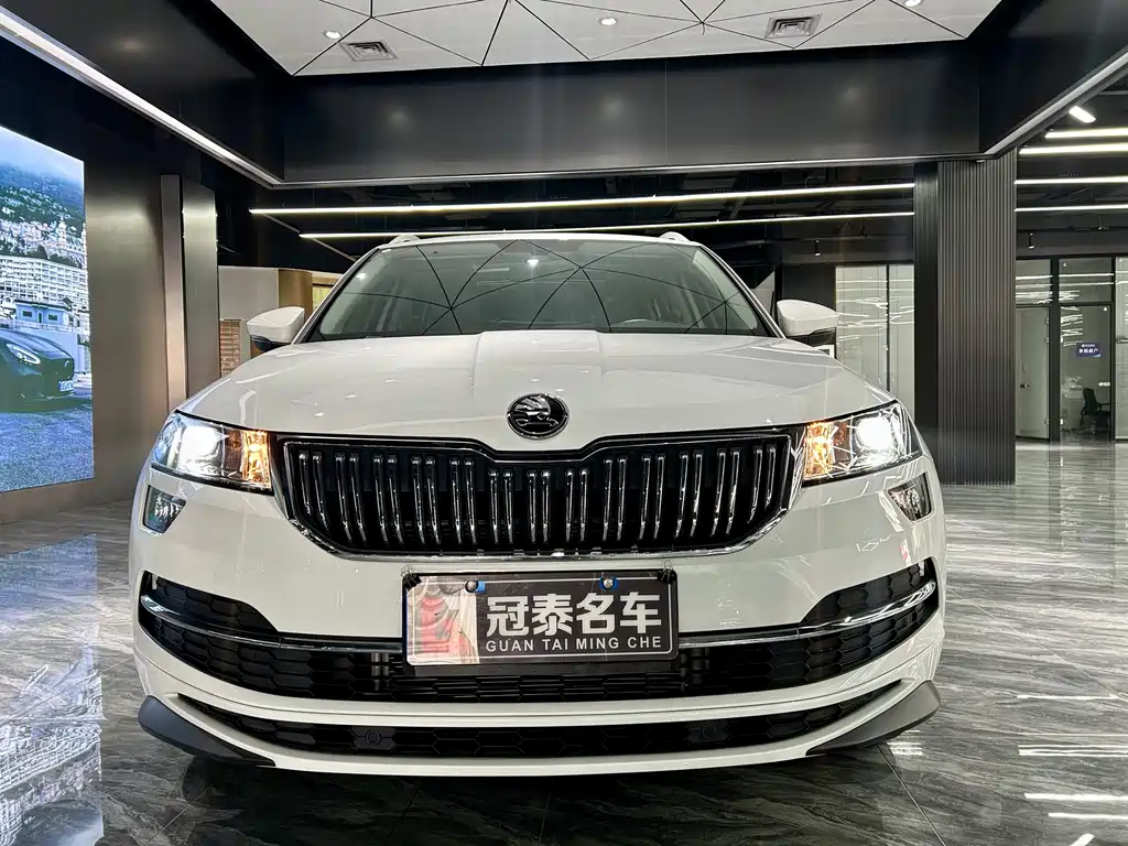 Skoda Karoq TSI280 Premium Edition, фото 2