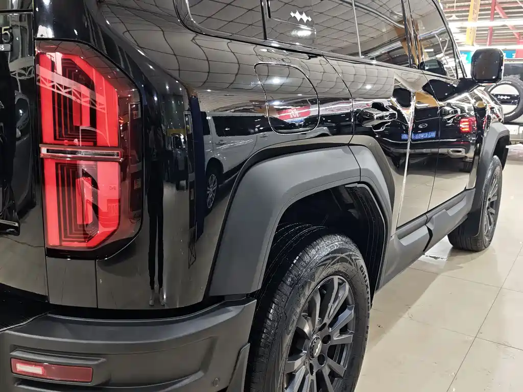 FANG CHENG BAO LEOPARD 5