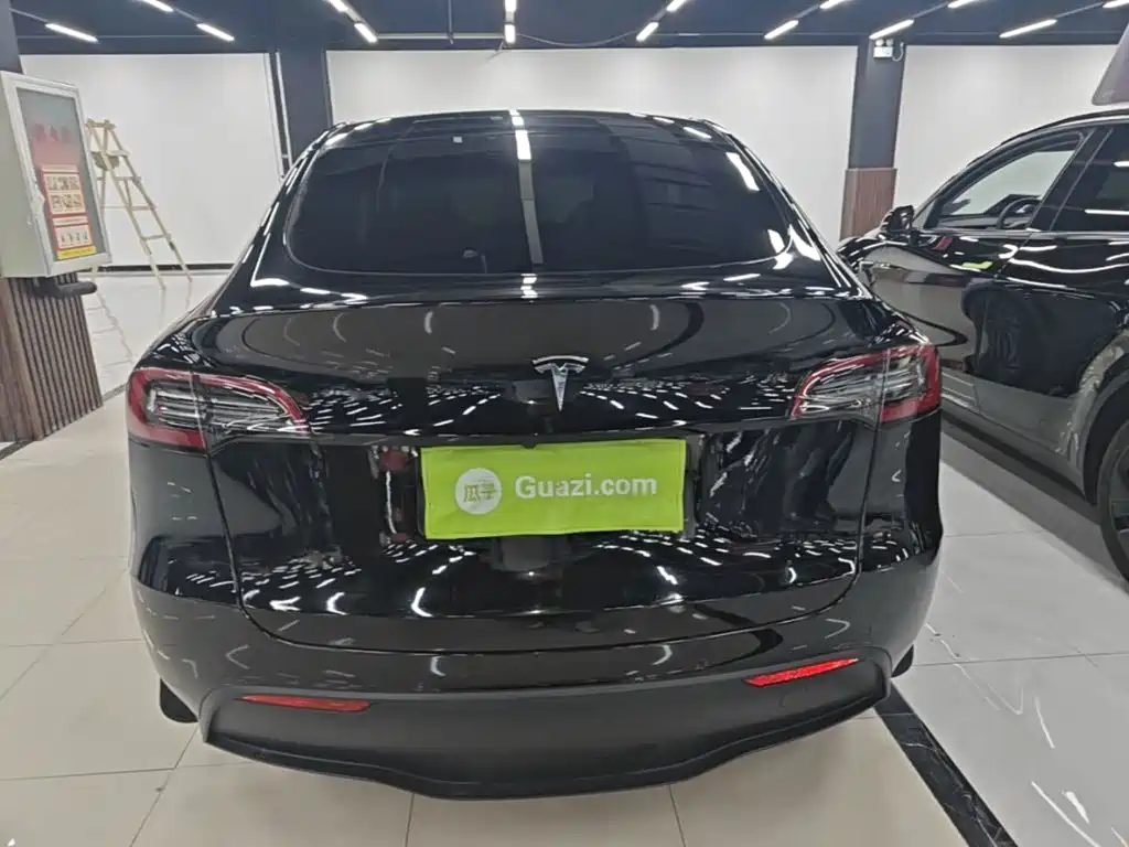 Tesla Model Y — миниатюра 6