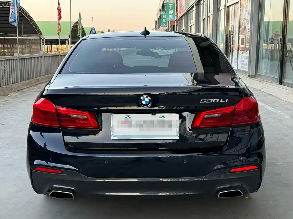 BMW 5 Series — миниатюра 5