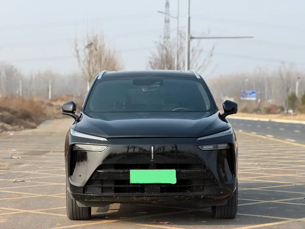 WEI PAI WEI BRAND BLUE MOUNTAIN