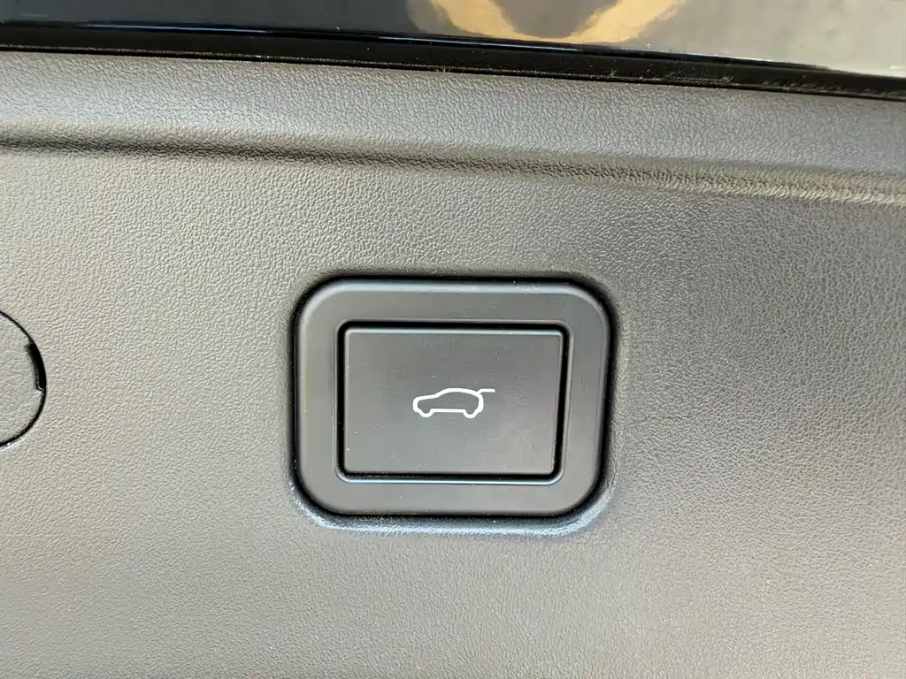 WEI PAI WEI BRAND BLUE MOUNTAIN