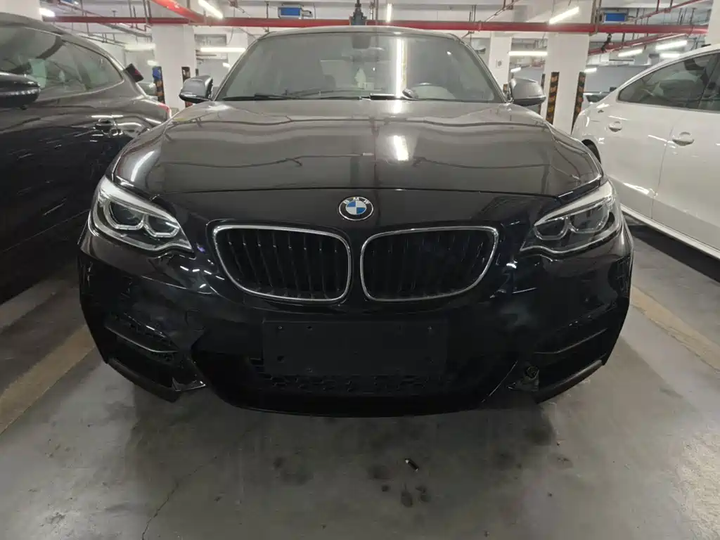 BMW 2 Series (Import) — миниатюра 2