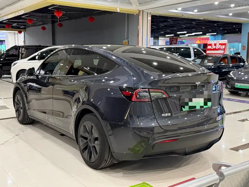 Tesla Model Y — миниатюра 9