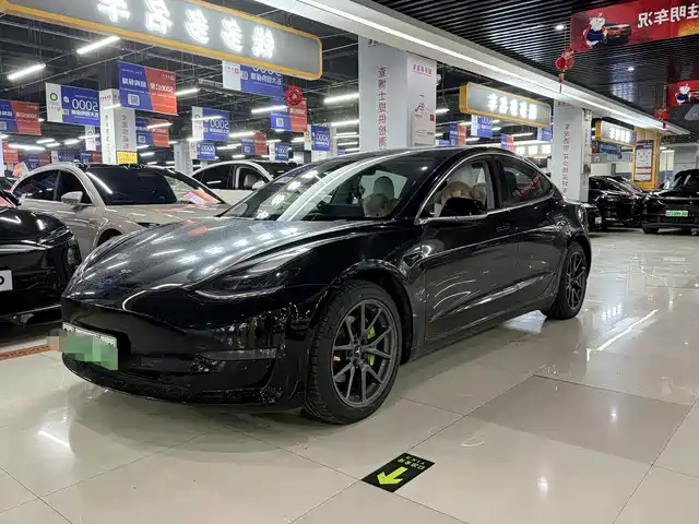 TESLA MODEL 3 2020