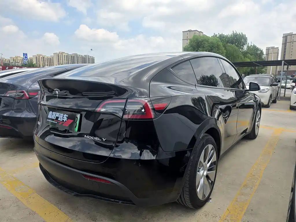 Tesla Model Y — миниатюра 15