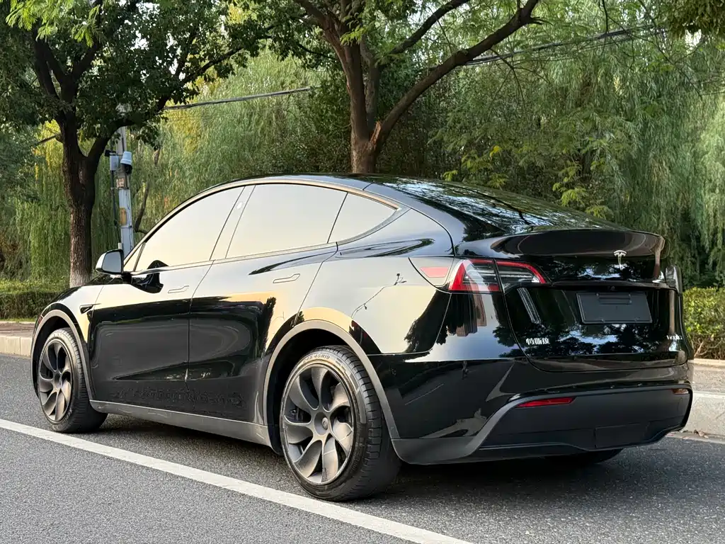 Tesla Model Y — миниатюра 3