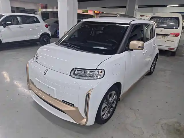 2022 Ora R2/White Cat