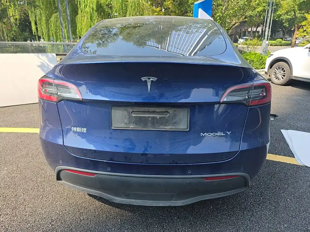 Tesla Model Y — миниатюра 6
