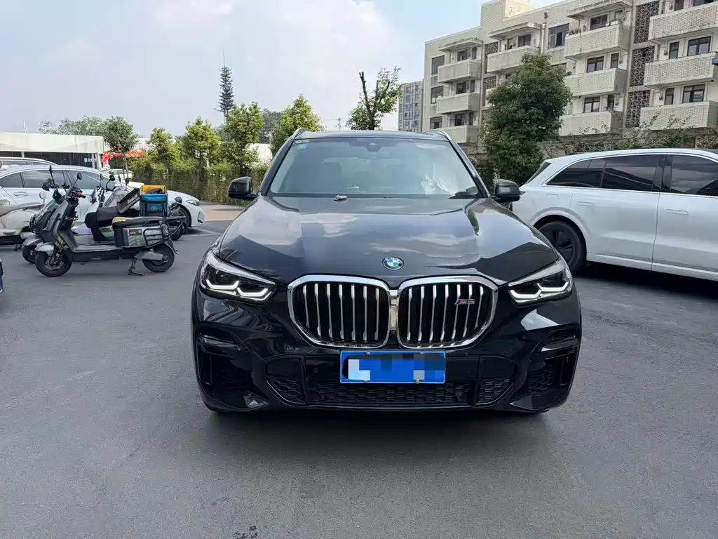 BMW X5 — миниатюра 2