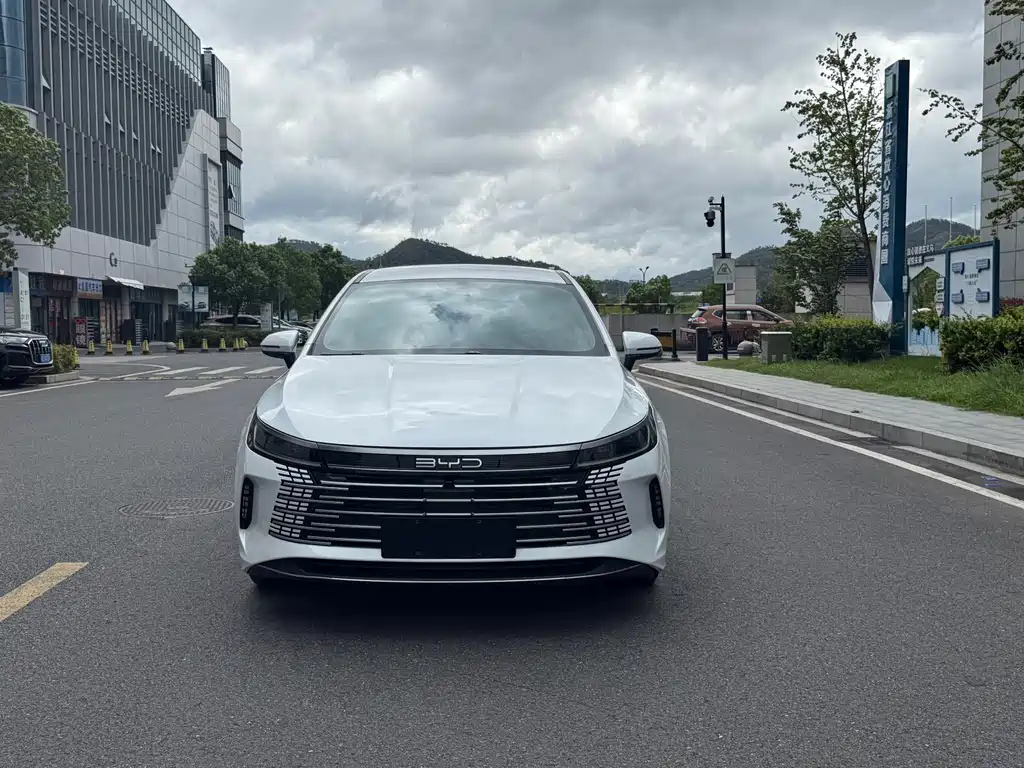 BYD Destroyer 05 — миниатюра 2