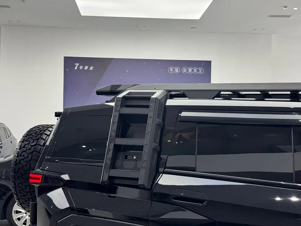 Mengshi Mengshi 917 — миниатюра 6