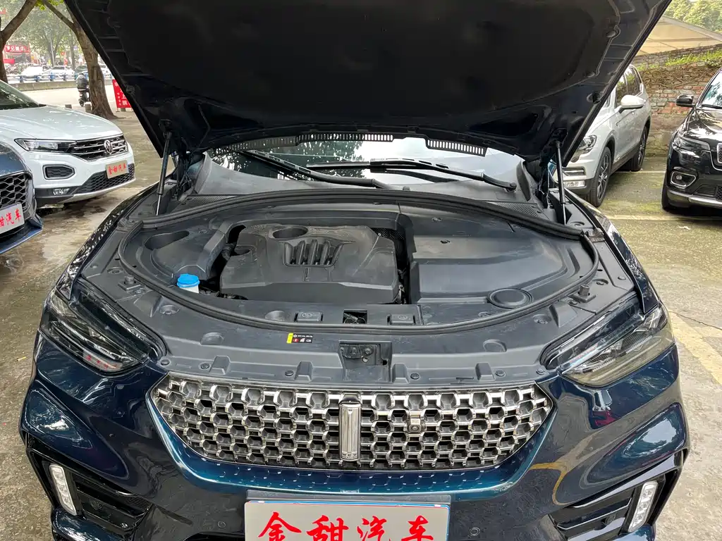 WEI PAI WEI BRAND VV7