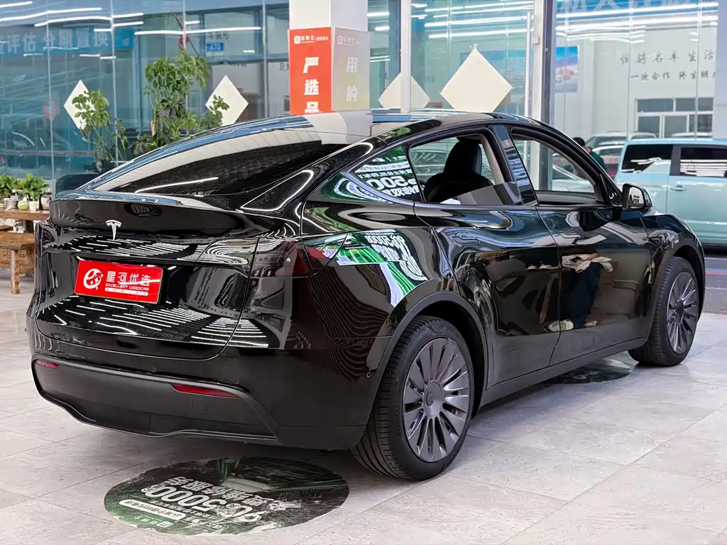 Tesla Model Y — миниатюра 7