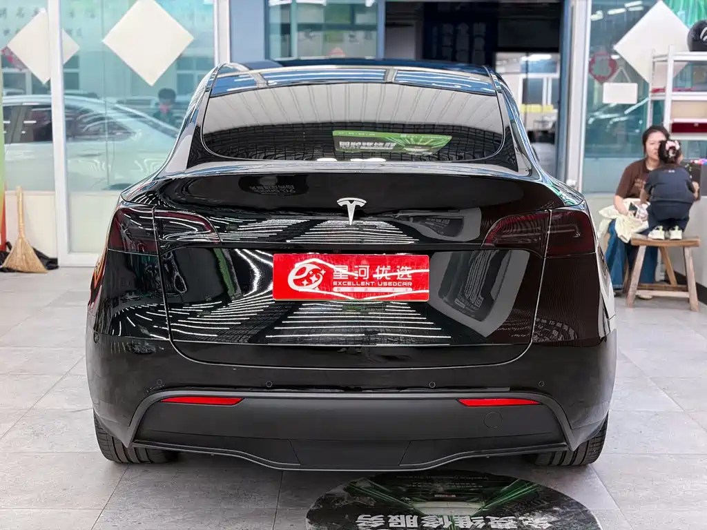 Tesla Model Y — миниатюра 6