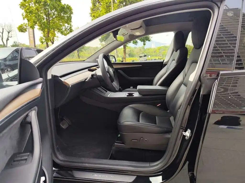 Tesla Model Y — миниатюра 4