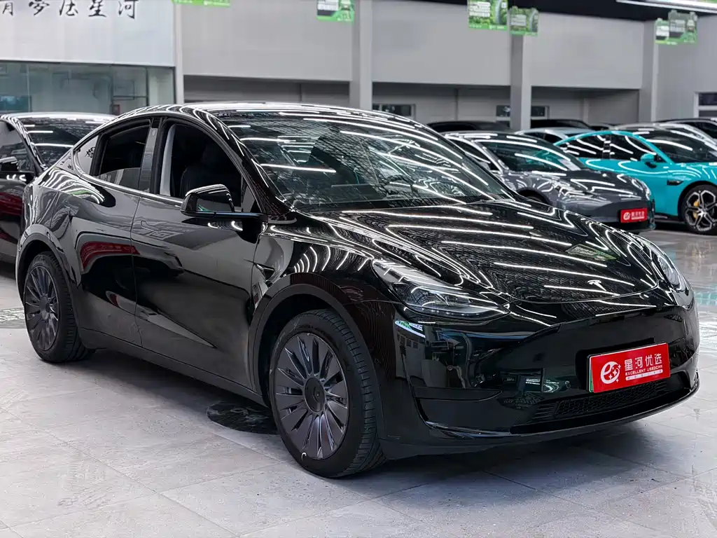 Tesla Model Y — миниатюра 3