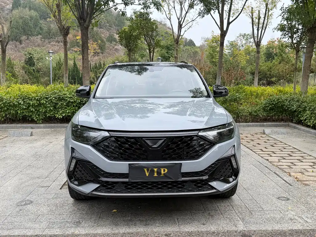 Jetta VS5 — миниатюра 2