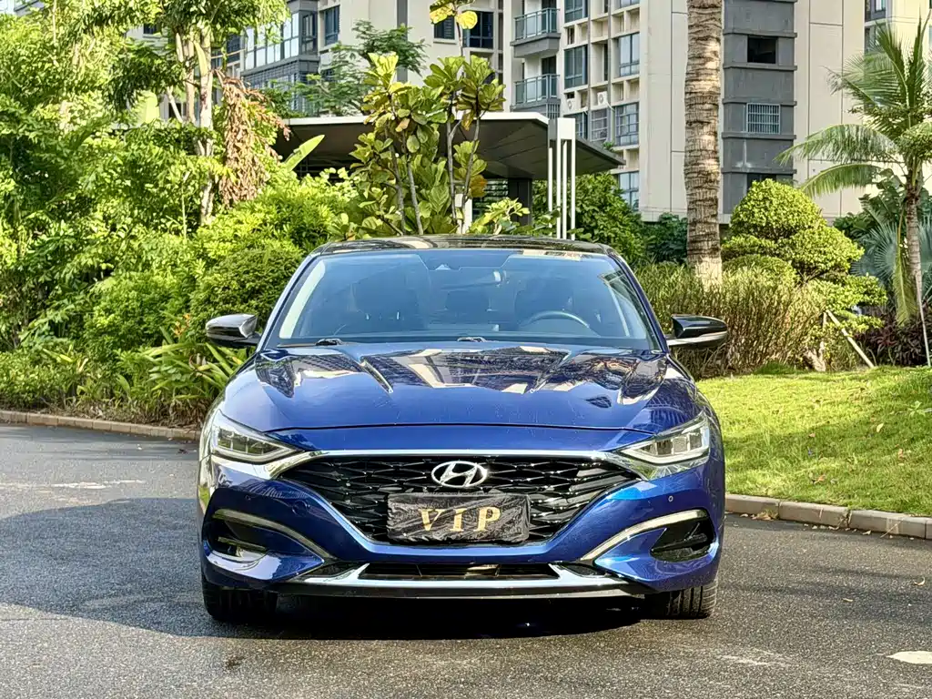 Hyundai Fista — миниатюра 2