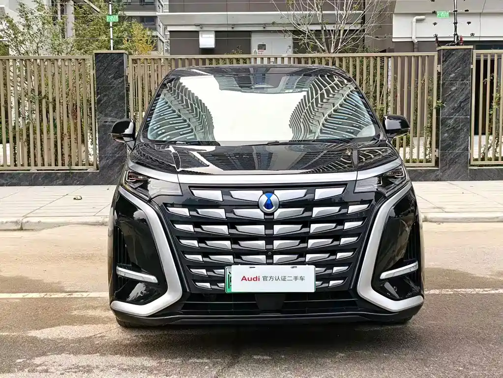 Denza Denza D9 — миниатюра 2