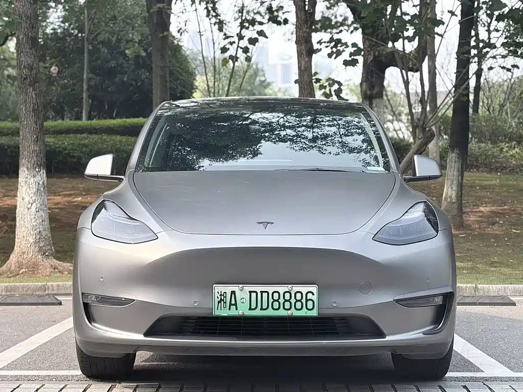 Tesla Model Y — миниатюра 3