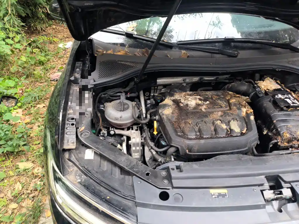 Volkswagen Tiguan L — миниатюра 20